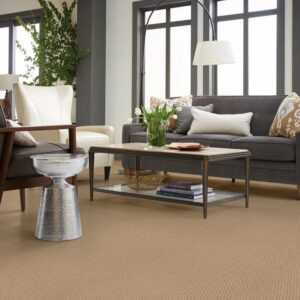 Living room Carpet flooring | Star Flooring & Design