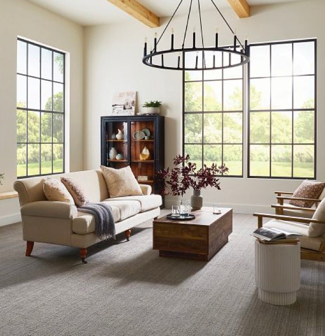 Living room Carpet | Star Flooring & Design