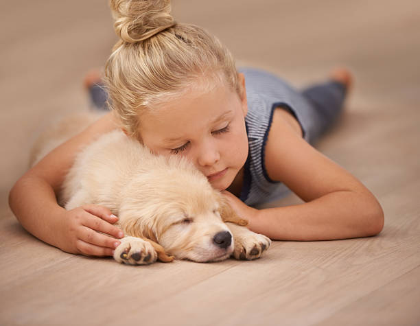 Comfortable flooring | Star Flooring & Design